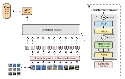 Vision Transformer Implementation